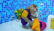 Baby Monkey KiKi wash clothes in the toilet and play by the pool with ducklings _ KUDO ANIMAL KIKI