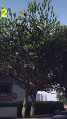 7 détails INCROYABLES dans GTA 5 