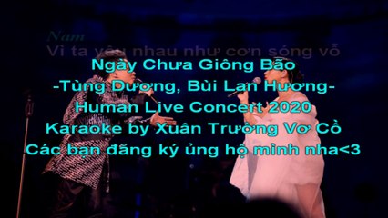 karaoke Ngày Chưa Giông Bão - Tùng Dương, Bùi Lan Hương
