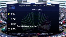 EU-Abgeordnete stimmen für Ratifizierung der Istanbul-Konvention gegen Gewalt an Frauen