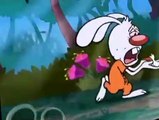 Brandy and Mr. Whiskers Brandy and Mr. Whiskers S02 E33-34 Big Girls Don’t Body Slam/I Am Rainfo