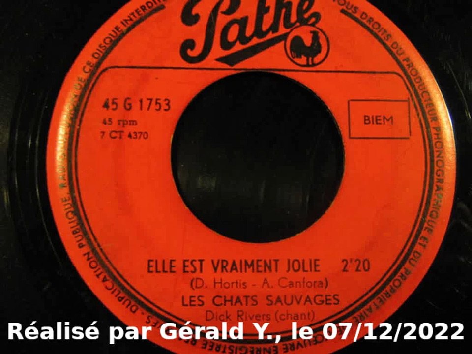 Les Chats Sauvages & Dick Rivers_Elle est vraiment jolie (1962)