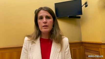 Gribaudo: ecco la proposta Pd per aiutare le mamme con disabilit?