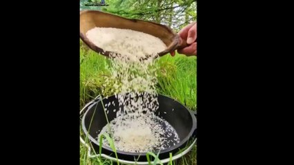 Whole Chicken Prepared in the Forest Relaxing Cooking