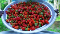 1000 STRAWBERRY _ Rava Kesari Recipe using Strawberry Jam _ Strawberry Recipe Cooking in Village-(1080p)