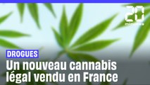 Cannabis : C'est quoi le HHC, le nouveau cannabis légal vendu en France ?