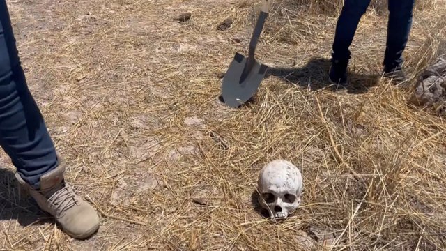 Las mexicanas que ya no celebran el Día de las Madres por buscar a sus hijos desaparecidos