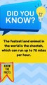 Interesting Facts 4#shorts #shortvideo #facts #trending #entertainment