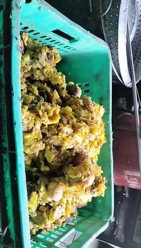 खाद्य सुरक्षा विभाग ने फैक्ट्री की सील