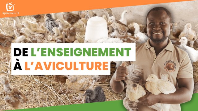Burkina Faso : De l’enseignement à l’aviculture