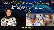 NAB gave clean chit to Shehbaz Sharif and Hamza Shehbaz, what was the case?
