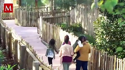 Guardia de zoológico cachetea a hipopótamo para que vuelva a su hábitat