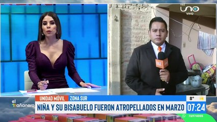 "¡Quiero volver a caminar!": Adele sobrevivió luego de ser atropellada por un micro