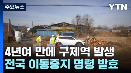 4년 만에 구제역 발생..."전국 이동중지명령" / YTN