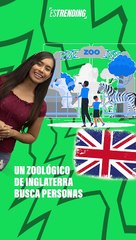 Zoo busca personas que se disfracen de pájaro para asustar gaviotas