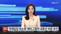 '국제입양 최소화' 헤이그협약 내후년 비준 추진