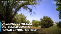 Okla. Police Mistake Distressed Goat for Human Crying for Help