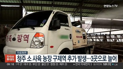 청주 소 사육 농장 구제역 추가 발생…3곳으로 늘어