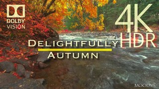 4K HDR Dolby Vision Nature Videos - 