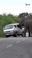 The Elephant attacks a van several people inside the van . . . #van #vehicles #wildanimals #wildlifephotography #forest #road