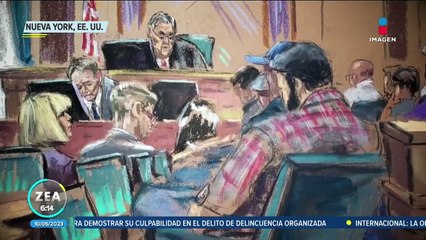 Declaran culpable a Trump de abuso sexual a la escritora E. Jean Carroll