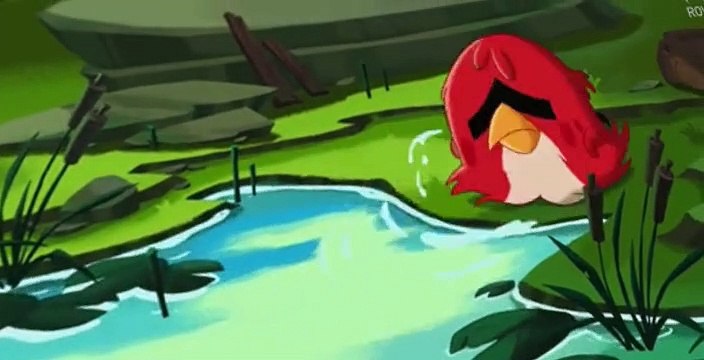 Angry Birds Angry Birds Toons E022 Eggs Day Out