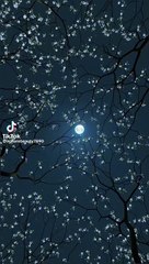 Look at this beautiful nature