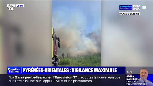 Pyrénées-Orientales: les feux fixés, mais le risque de reprise est important