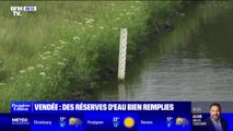 En Vendée, avec les fortes pluies, ce viticulteur ne peut plus planter depuis un mois
