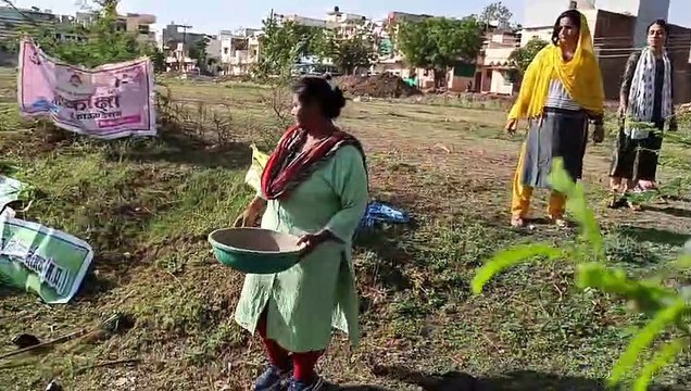 नीमच में संजीवनी तालाब में पसरी जलकुंभी को हटाने चला पत्रिका अमृतं जलम् अभियान