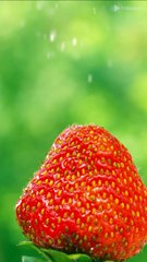 Slow motion drops into strawberry