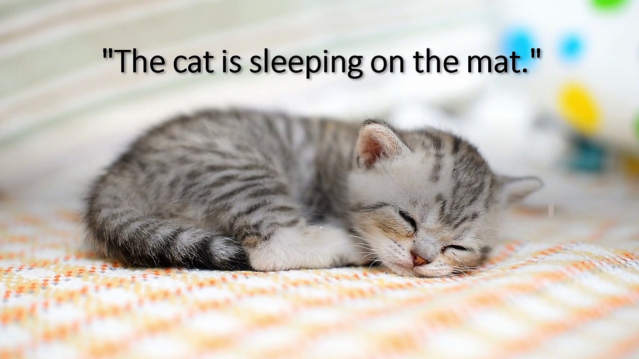 what is the subjects and predicate?