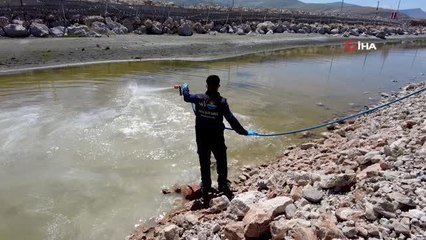 Van Büyükşehir Belediyesinin ilaçlama çalışmaları devam ediyor