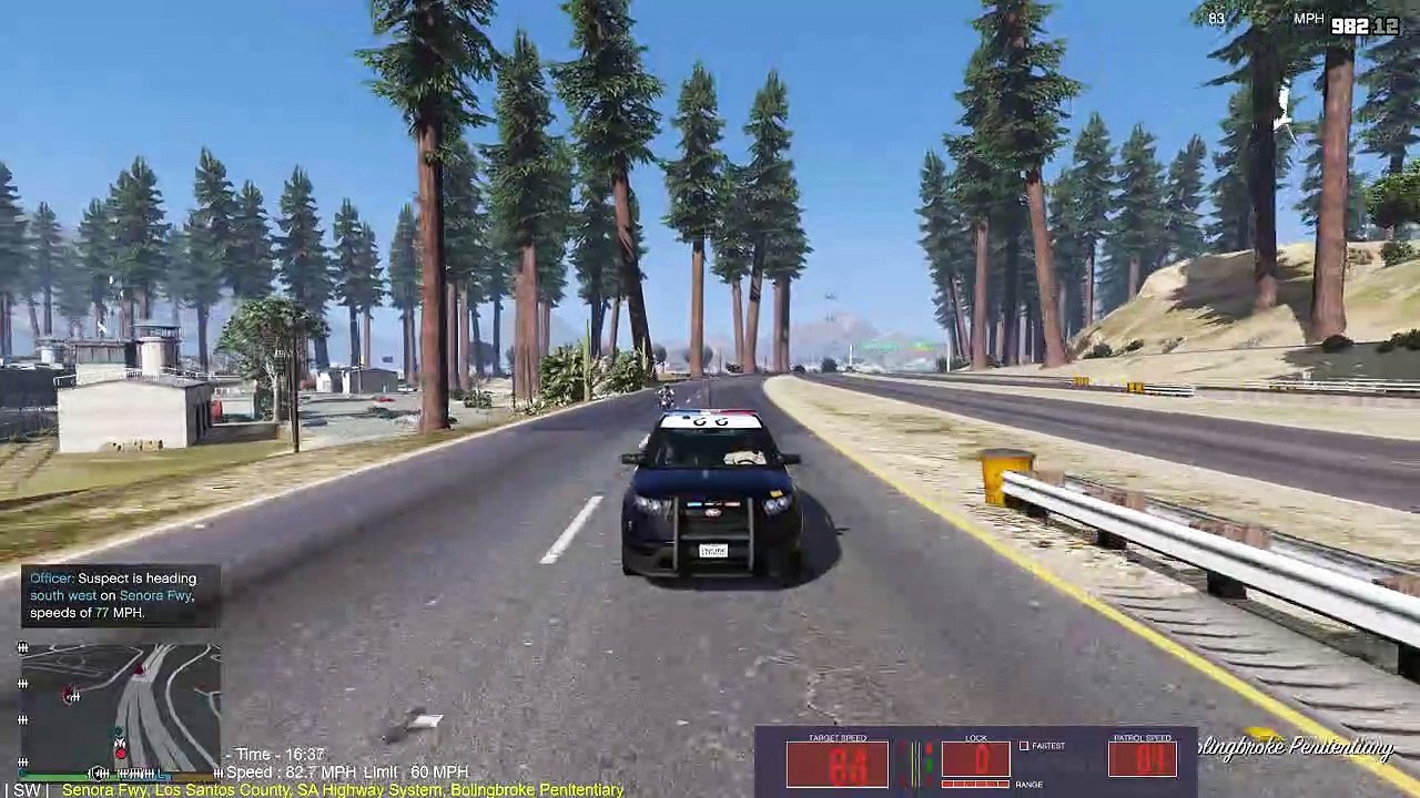 A Long Pursuit In LSPDFR