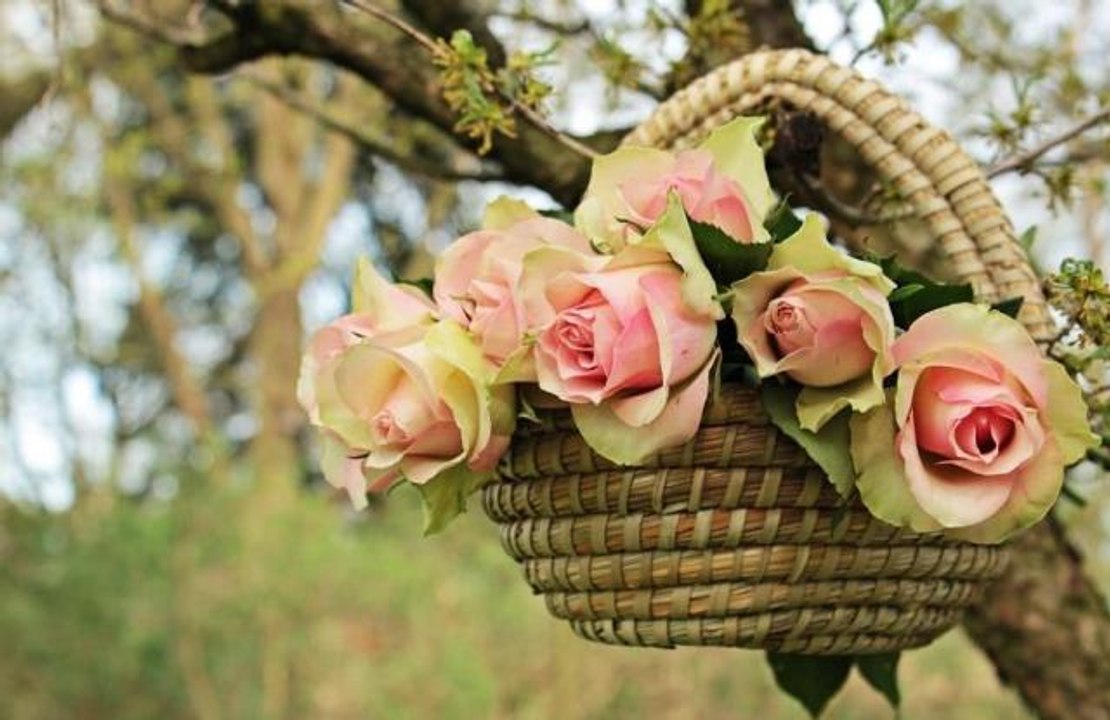Anneler Günü hediye fikirleri neler? El yapımı anneler günü hediyesi ne yapılır? En kolay anneler günü hediyesi yapımı!