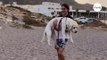 Un chien âgé revoit la mer après des années : 4 millions de personnes pleurent devant sa réaction (Vidéo)