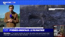 Pyrénées-Orientales: le feu est maîtrisé près de Saint-Cyprien