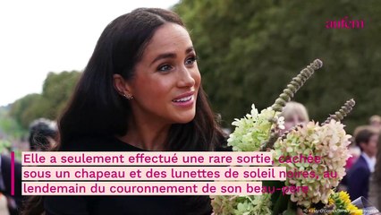 Download Video: Meghan Markle épinglée : absente du couronnement, elle s'est livrée à une toute autre activité