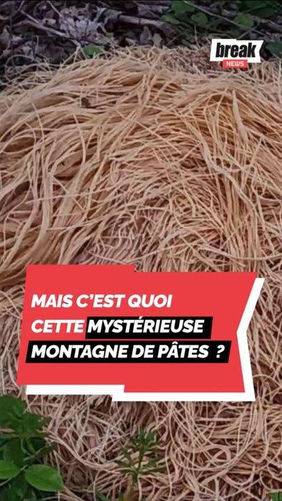 Mais c'est quoi cette mystérieuse montagne de pâtes ?