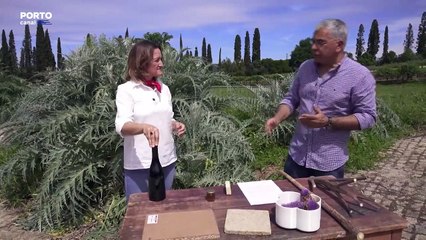 Planeta Verde - Investigação em Agricultura: exemplo da produção do Queijo Serra da Estrela e Pinhão