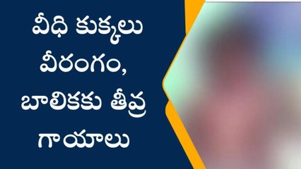 తాడేపల్లిగూడెంలో వీధి కుక్కలు వీరంగం... బాలికకు తీవ్ర గాయాలు