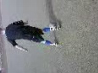 christiano ronaldo deux