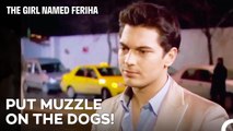 Mehmet's Harsh Words for Emir - The Girl Named Feriha