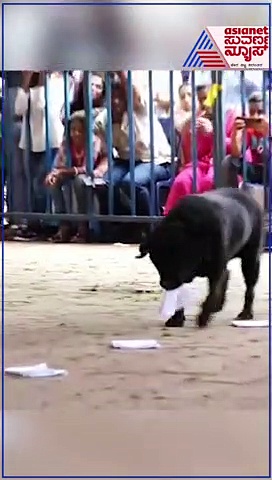 ಕನ್ನಡದಲ್ಲಿಯೇ ಕಮಾಂಡ್ ಪಡೆದು ಕೆಲಸ ಮಾಡುತ್ತಿದ್ದ ಗೌರಿ ಇನ್ನಿಲ್ಲ: ಕಣ್ಣೀರಲ್ಲಿ ಶಿವಮೊಗ್ಗ ಪೊಲೀಸರು