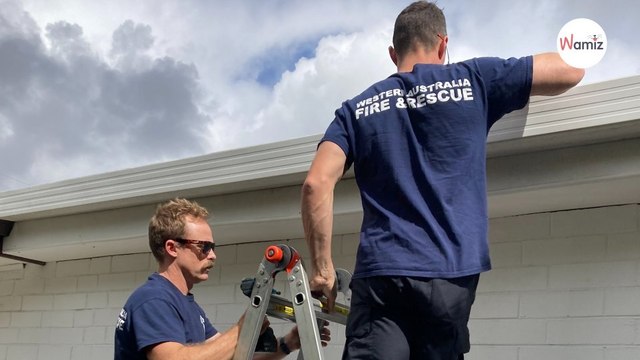 Ils entendent un chat miauler de détresse derrière un mur : sur place, les pompiers comprennent l'urgence