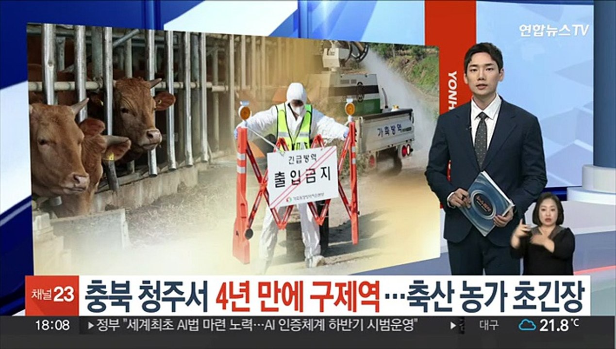 충북 청주에서 4년 만에 구제역 발생…축산 농가 초긴장