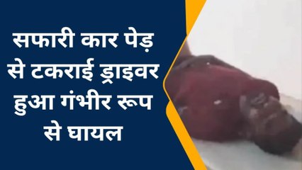 ललितपुर: तेज रफ्तार सफारी कार पेड़ से टकराई, चालक घायल