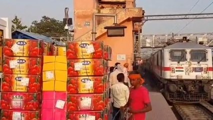 शाही लीची की पहली खेप मुंबई के लिए मुजफ्फरपुर से रवाना, किसानों में खुशी की लहर