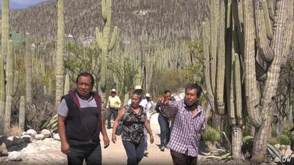 Sales y hierbas mágicas de Puebla