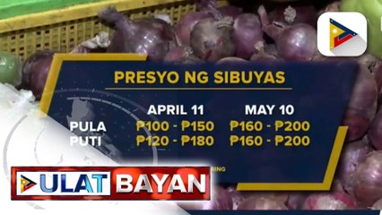 Muling pagtas ng presyo ng sibuyas, pinangangambahan